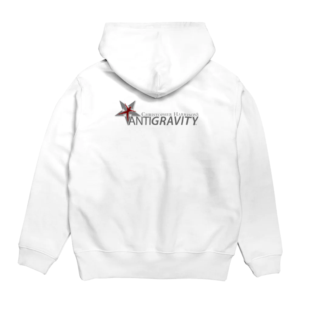 AntiGravityJAPANのAntiGravity Principles  Hoodie:back