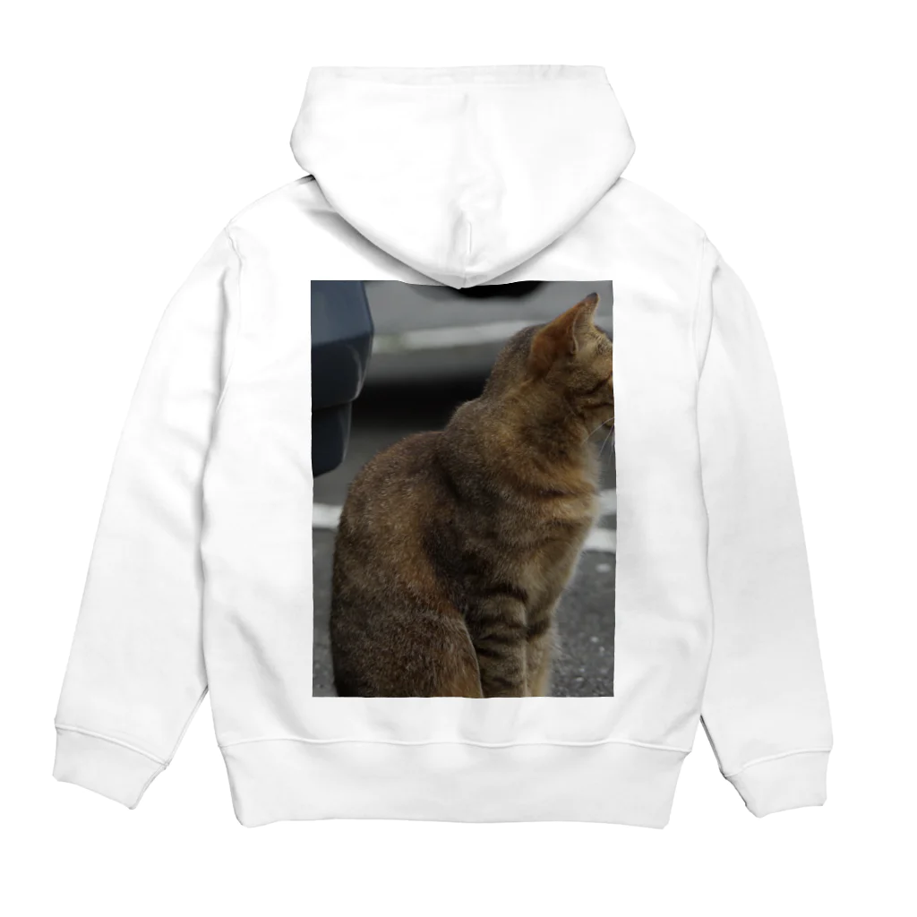 CyanotypeDesignsの猫背 Hoodie:back