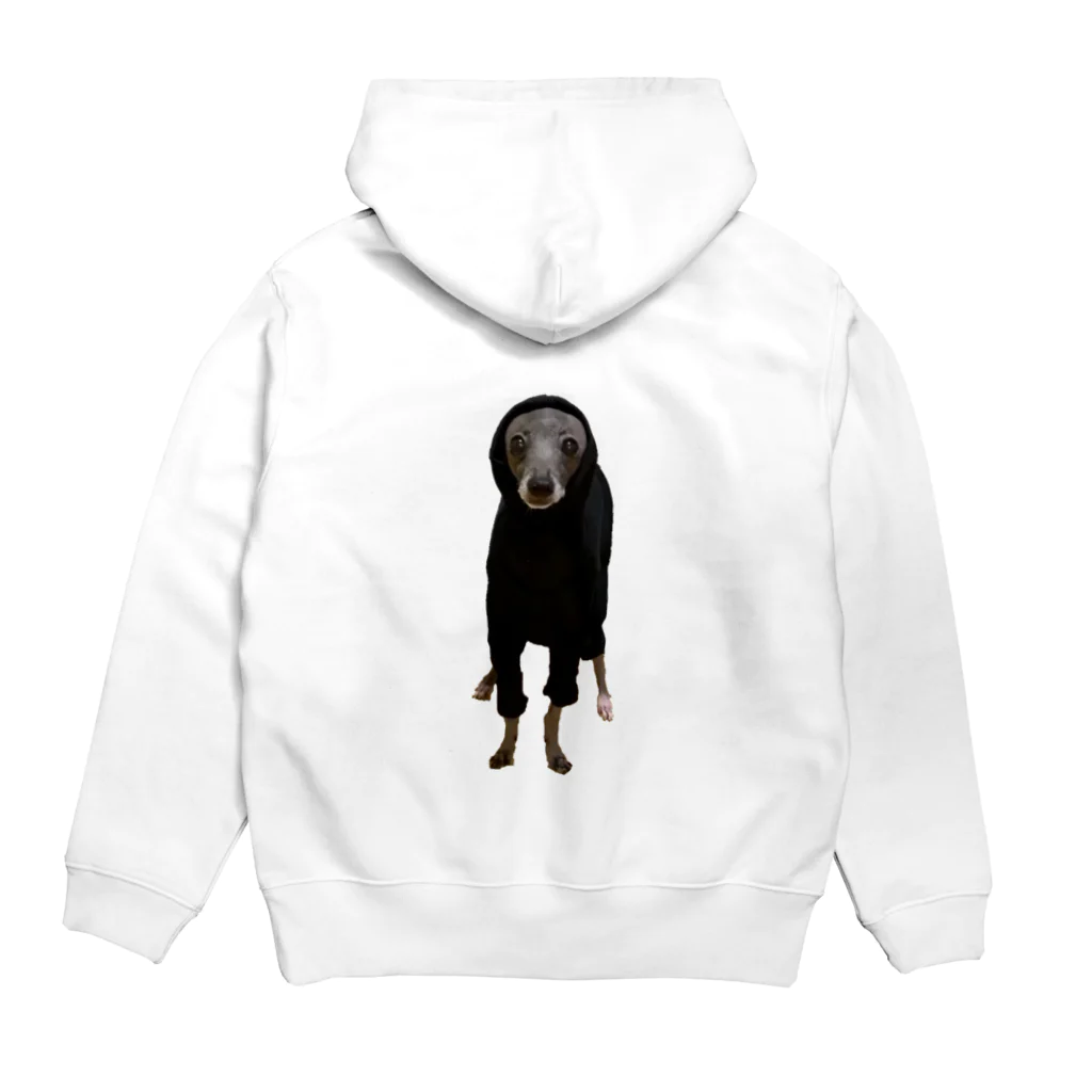 エジプトの新しい服が気に入らなくて全部やめた犬 Hoodie:back