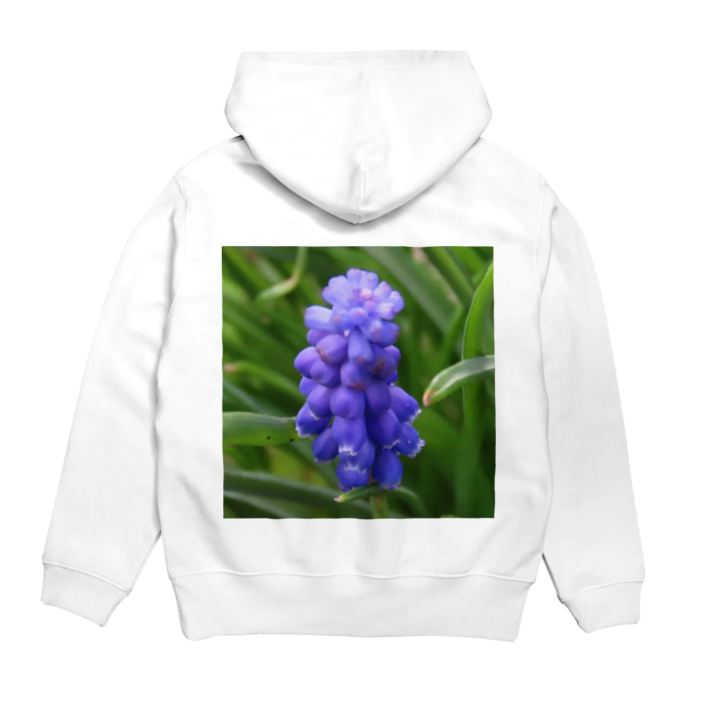 でおきしりぼ子の実験室のMuscari botryoides(1:1) Hoodie:back