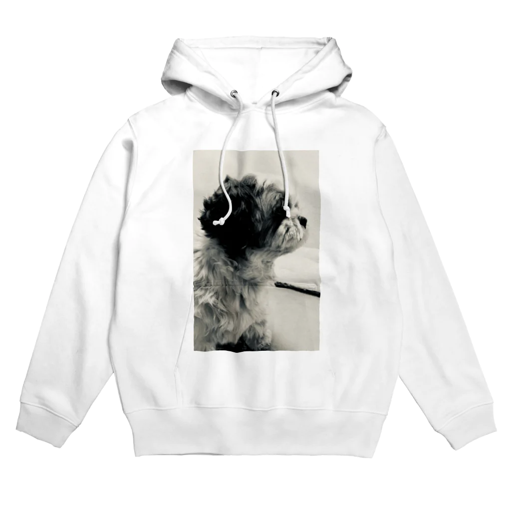 g_styleのシーズー犬の横顔 Hoodie