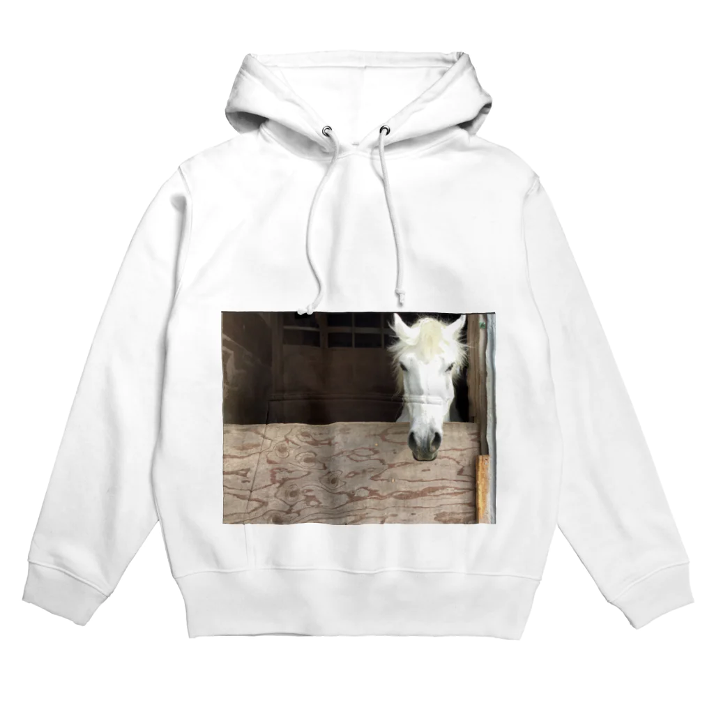 カエルの馬だよーん Hoodie