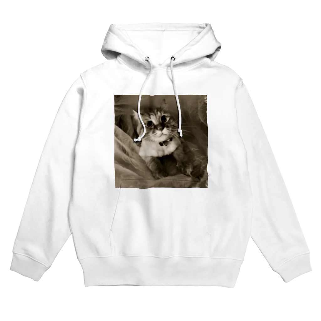 Kitty-Kitty(キティキティ)のどんぐりおめめの福ちゃん Hoodie