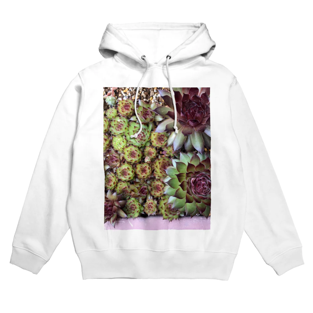 シアン猫の植物図鑑のセンペルいっぱい Hoodie