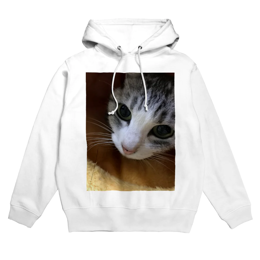 我が家のアイドル達のねこまろ Hoodie