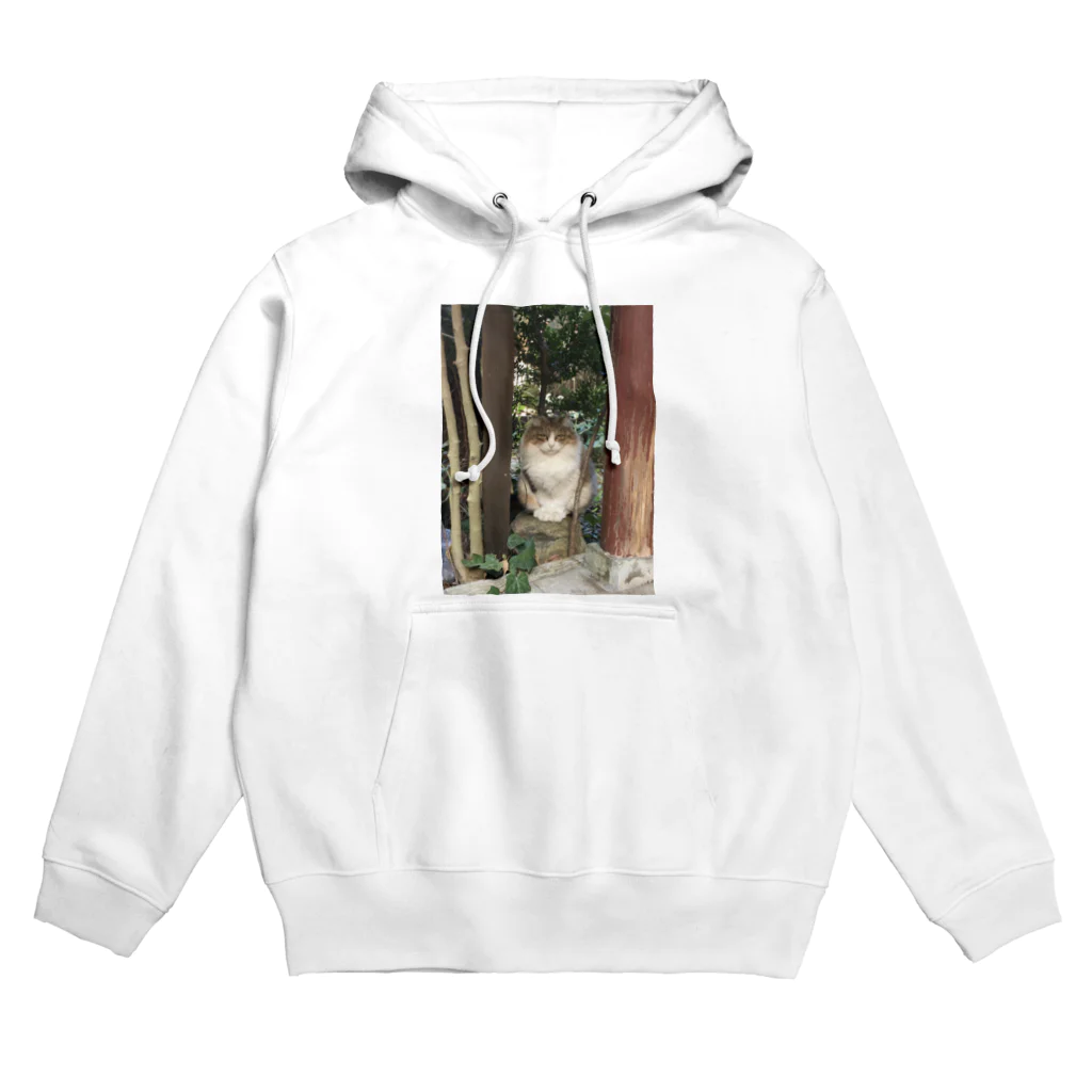 PLANET OF CATS ねこの惑星のmofuneco4 Hoodie