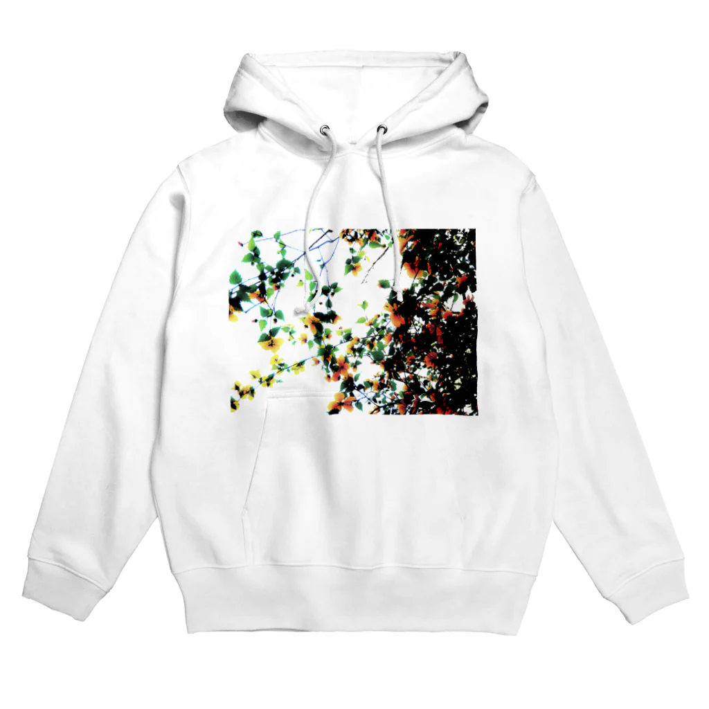 だいごろうのモッコウバラ Hoodie