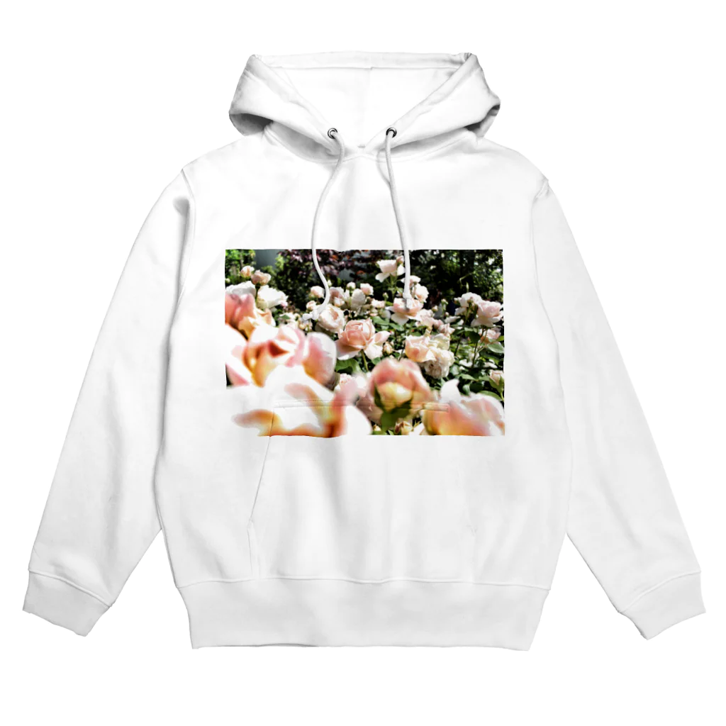 しゃしんのヴィンテージピンクの薔薇 Hoodie