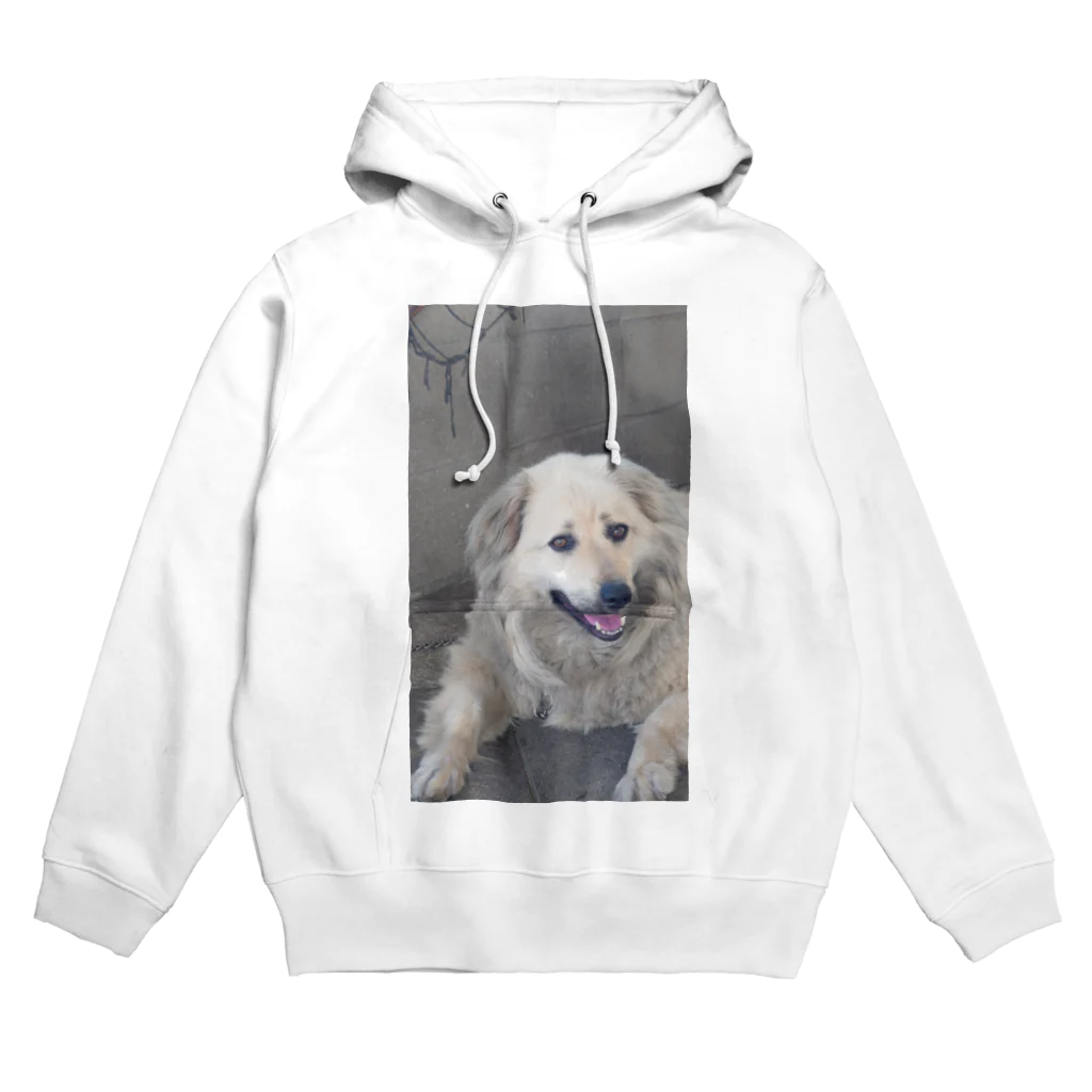 自分がほしい物shopのももちゃん Hoodie