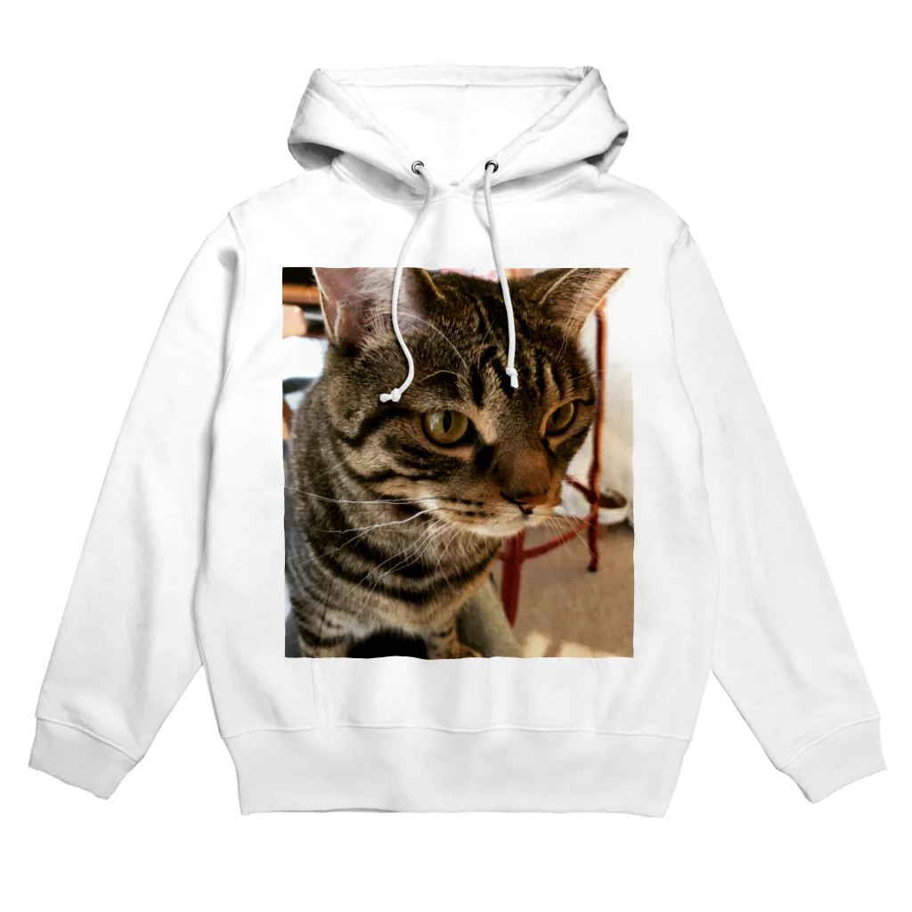 TabbyKotoraのKOTORA Hoodie