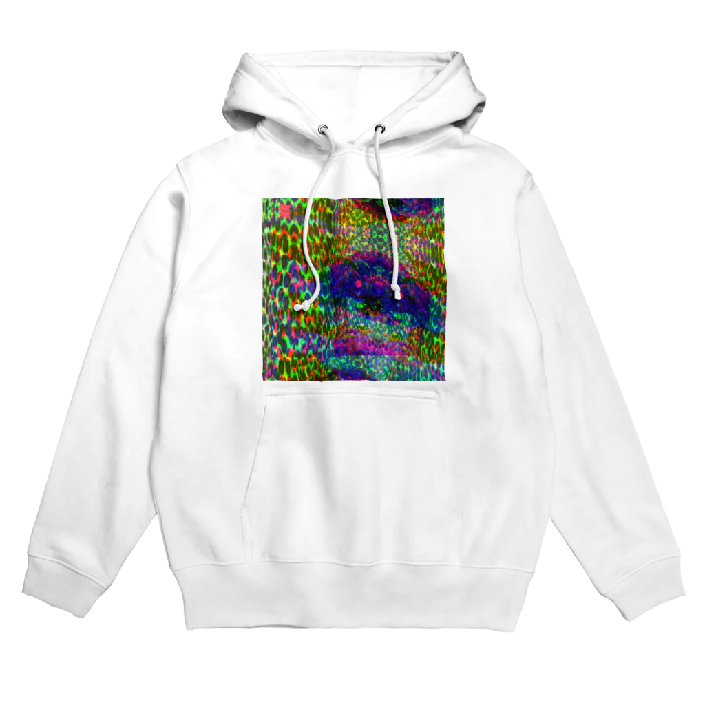 egg Artworks & the cocaine's pixの『∫αЙ†α₷₥α f4r sµ!c!de.』 Hoodie