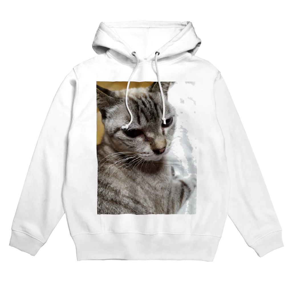 ねこの森でお散歩のさあ、モフりなさいよ。 Hoodie