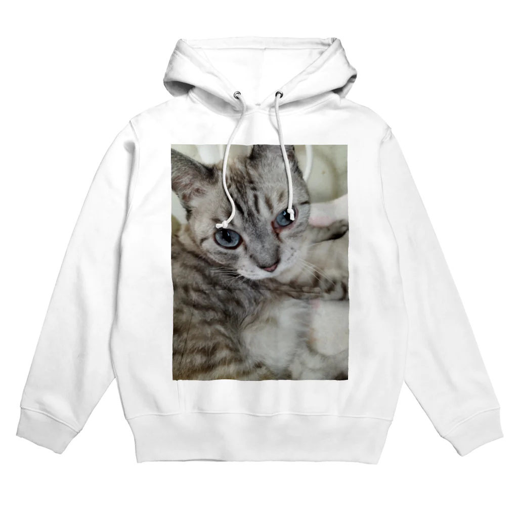 ねこの森でお散歩のフッワフワのシャムミックス Hoodie