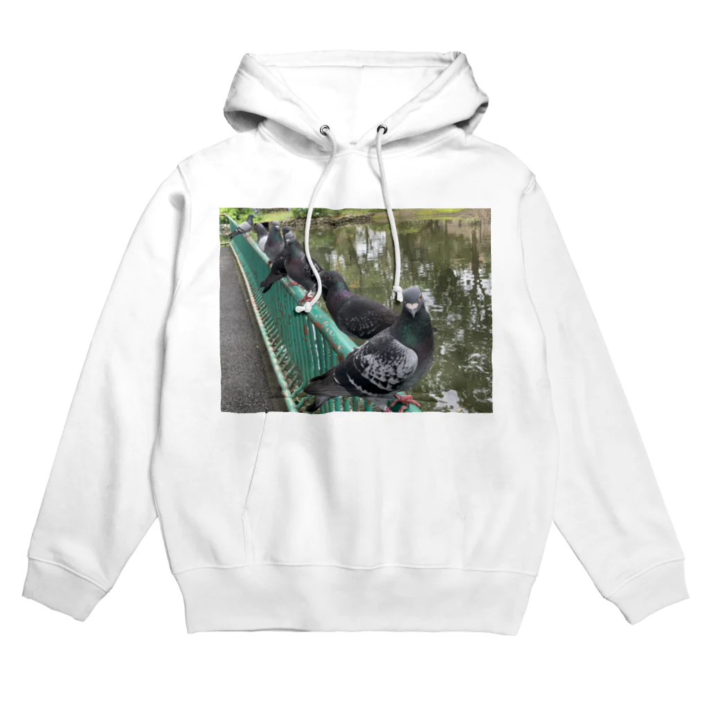 メロネードの公園の鳩 Hoodie