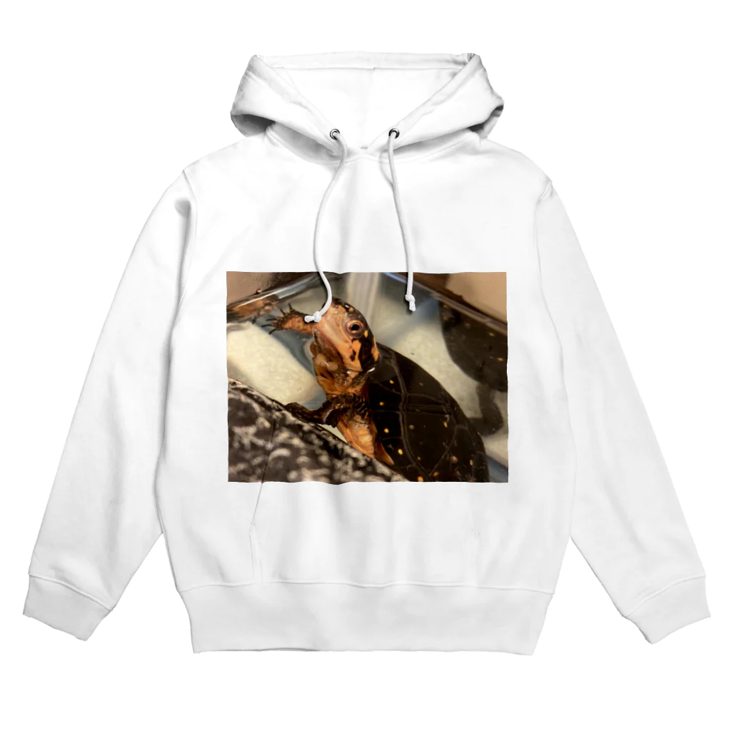 キボシ⭐️のキボシ🐢泥パック Hoodie