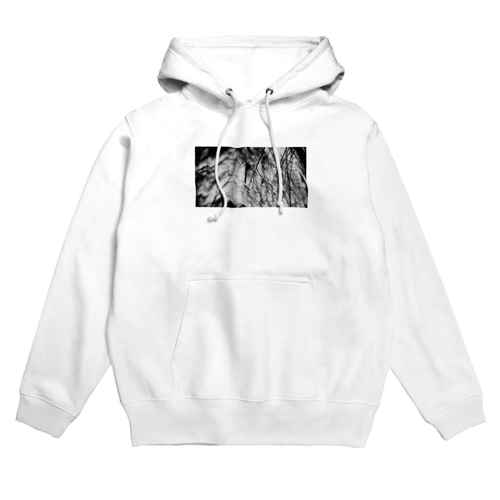 カラノラカの枝 Hoodie