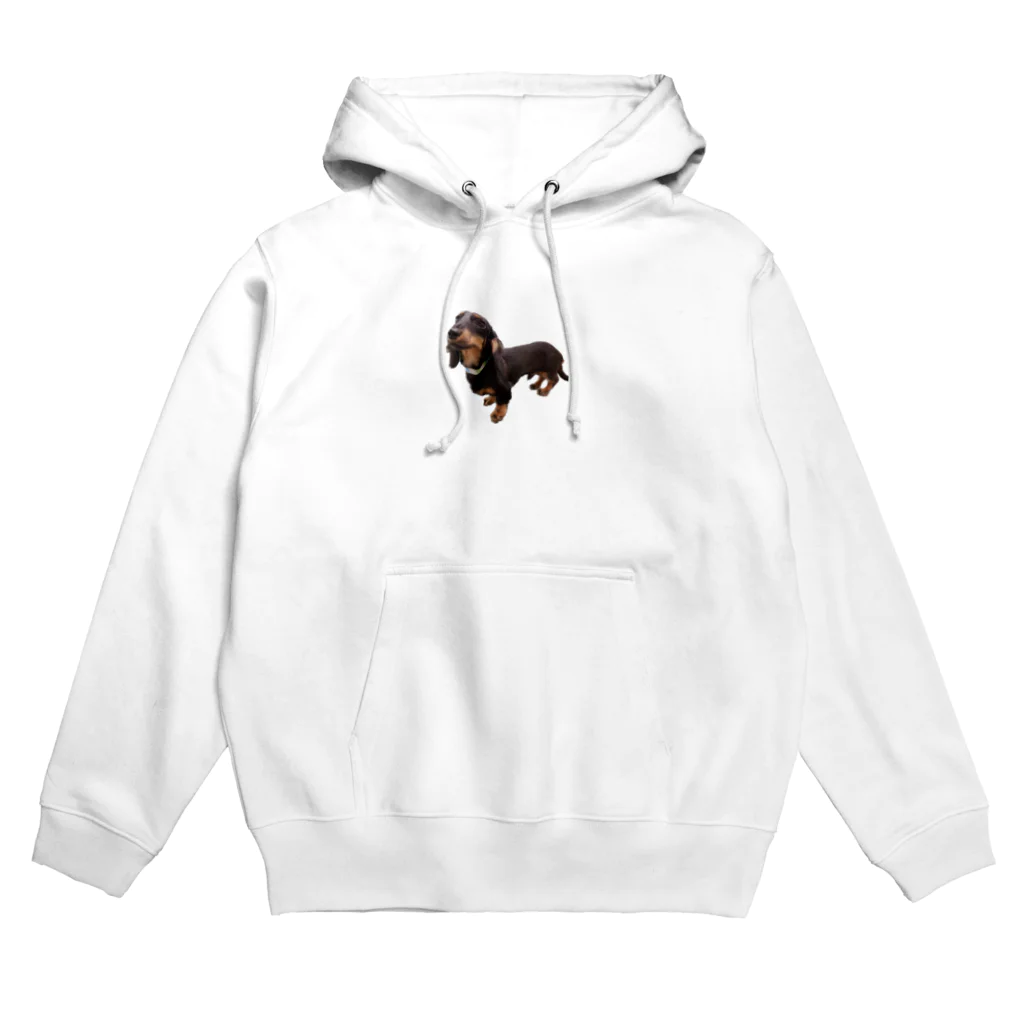 kotadayoのダックスのクウ Hoodie