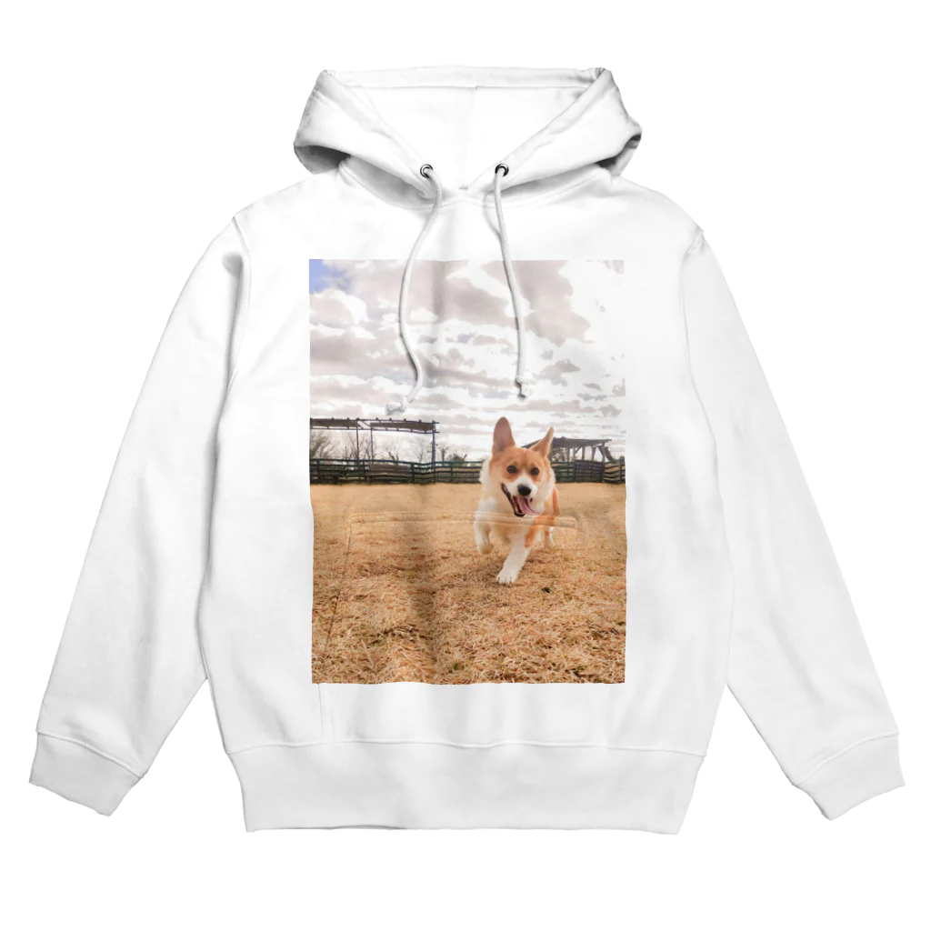 脚長コーギーの脚長コーギーむぎくん Hoodie