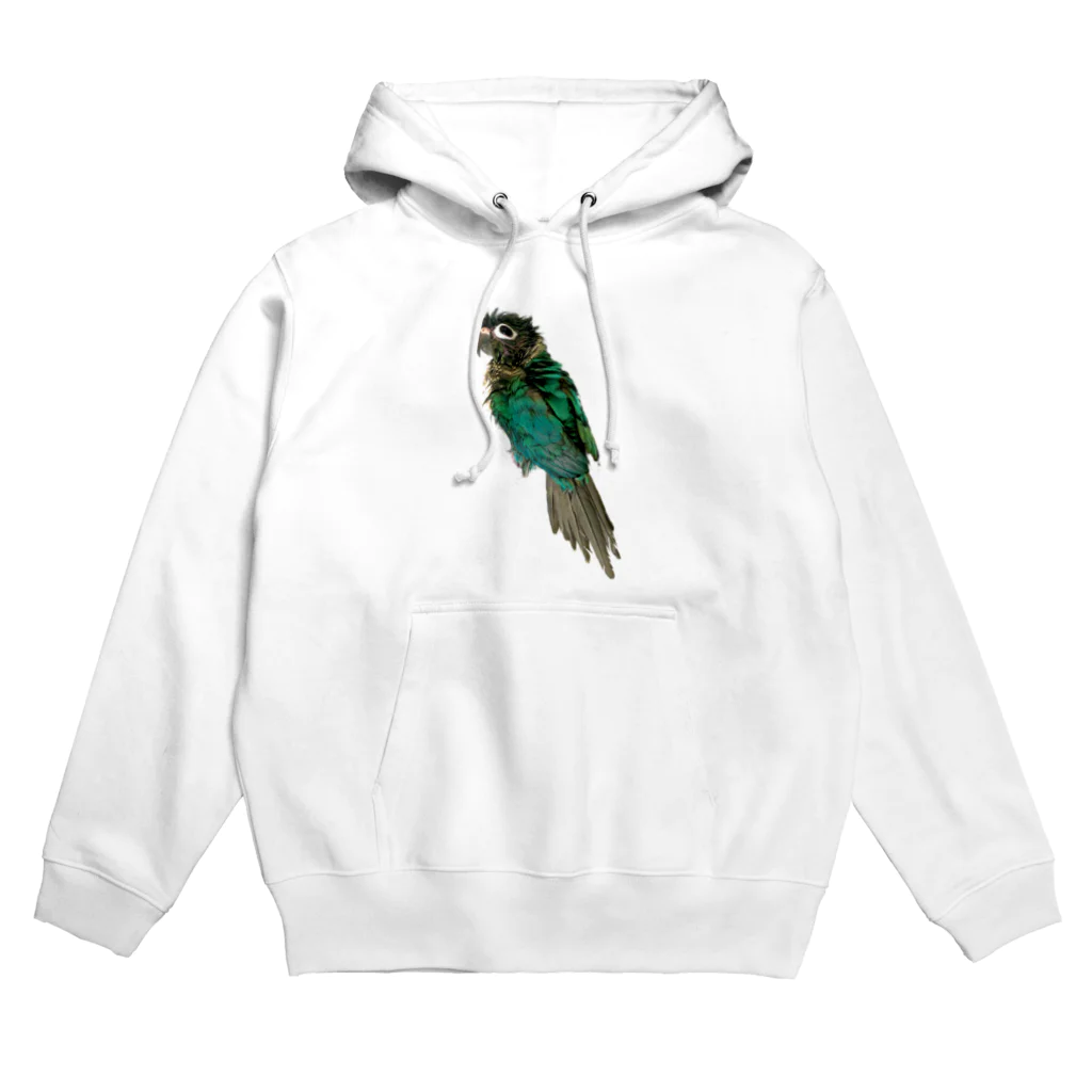 ウロコインコの翠のグッズショップのウロコインコの翠【水浴び後ver】 Hoodie