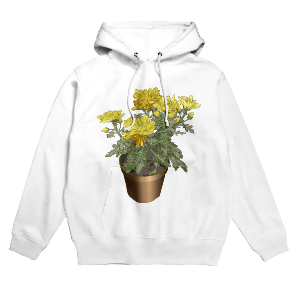 植物の絵師「洋子」の店の鉢植えの菊 Hoodie