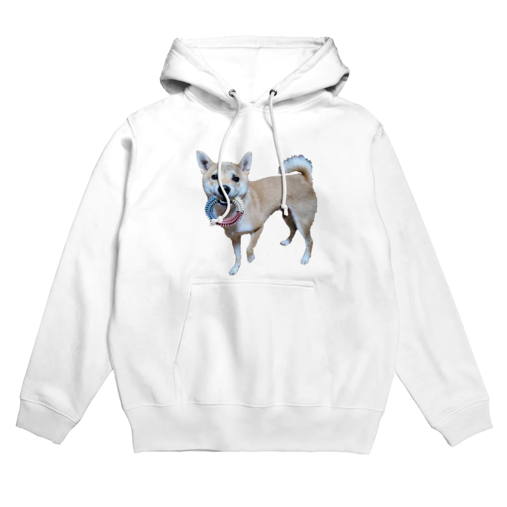 カスミ草の一緒にあそぼ？柴犬 Hoodie