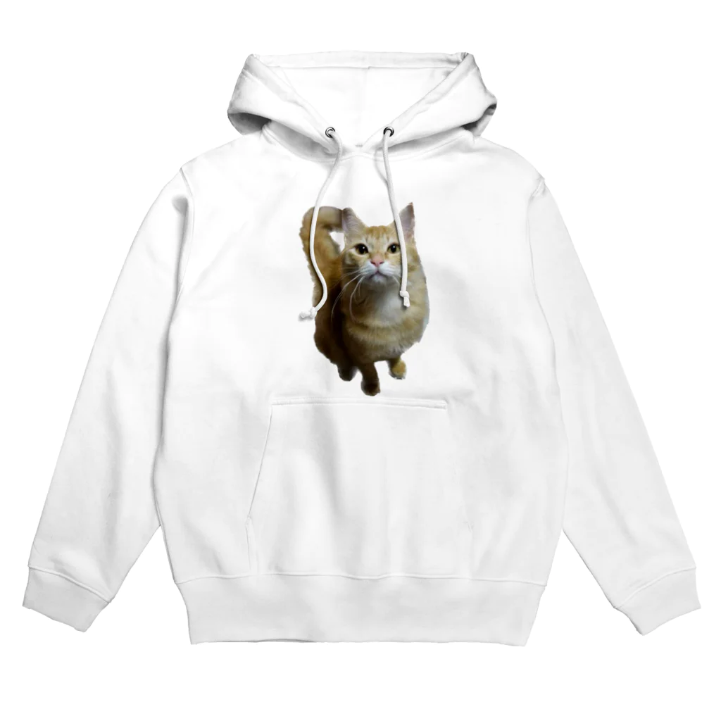 トロールショップの我が家のお猫様が見てます(笑) Hoodie