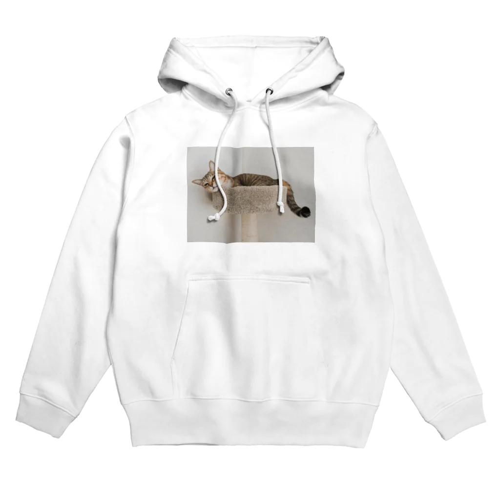 gaga_the_catのねむいガガ Hoodie