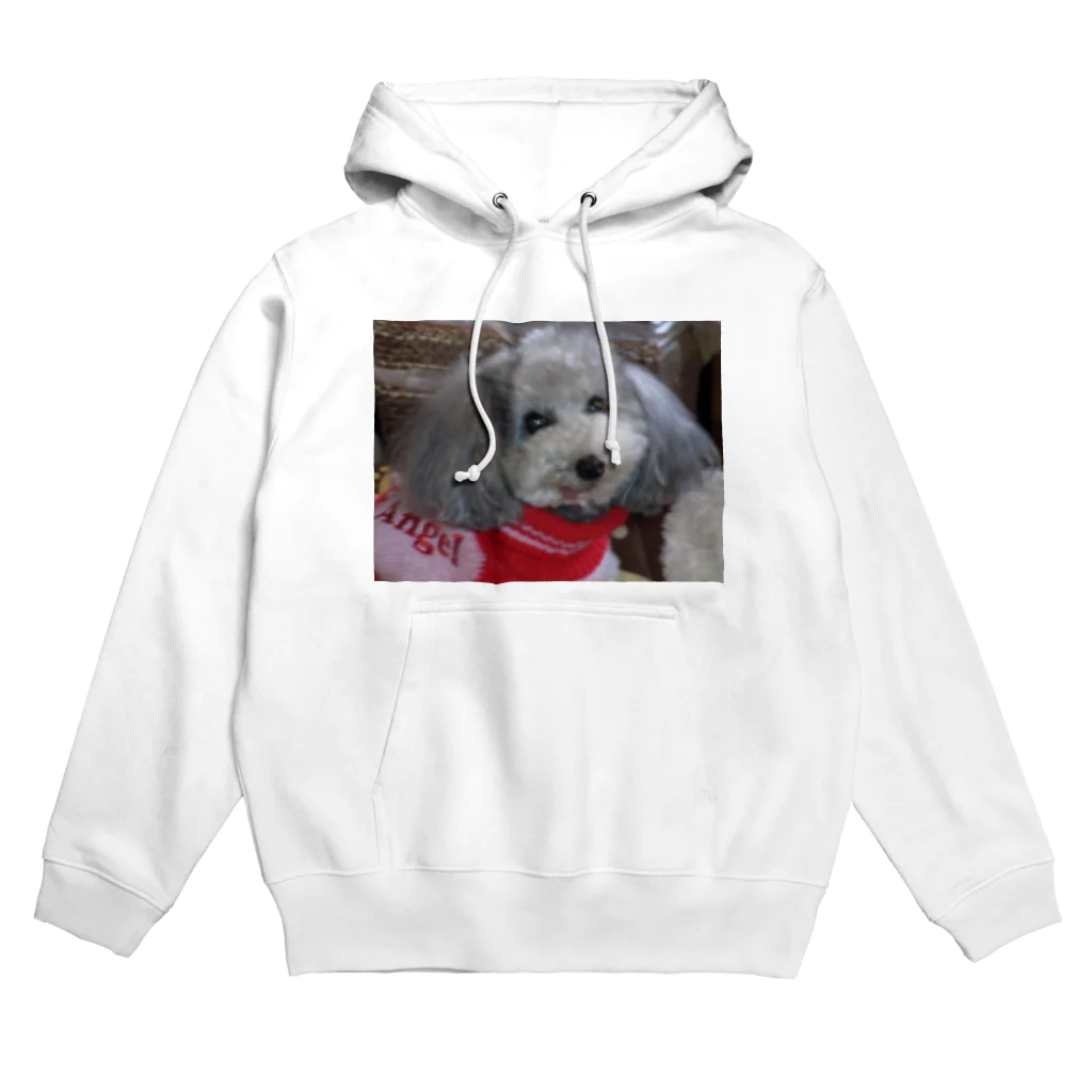 iyasinceのお犬好し「ぱぁるたん」コミュニケーション能力 Hoodie