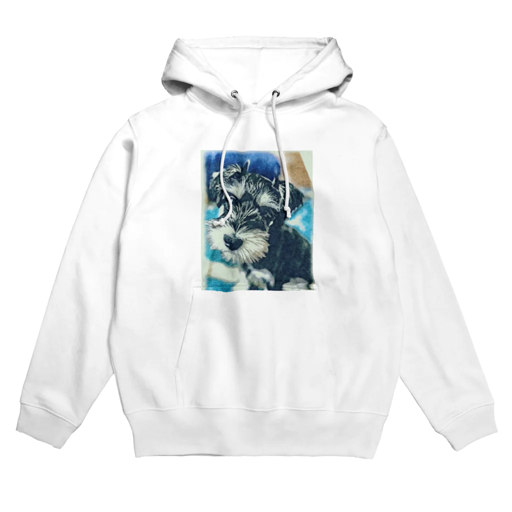 aviorのミニシュナ　D Hoodie