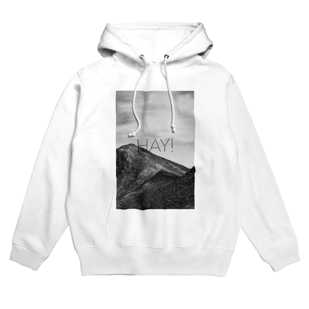 ムクロジの山彦1 Hoodie