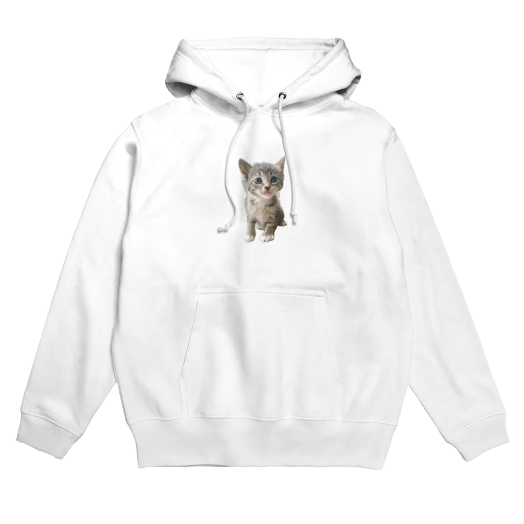 Vegeta_cat22の保護猫ベジータ　生後1ヶ月 Hoodie