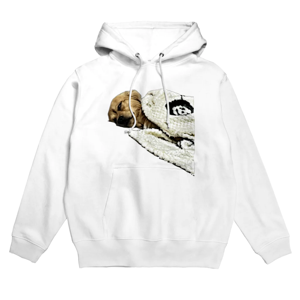 尊いイッヌの白目を剥いたイッヌ Hoodie