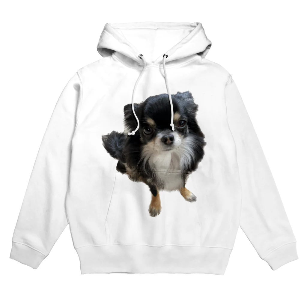 ちわわのりんちゃんのちわわのりんちゃん Hoodie