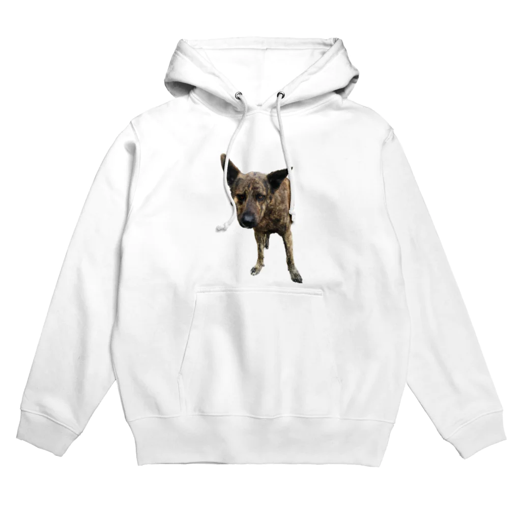 EYE CANDYの愛犬注意 Hoodie