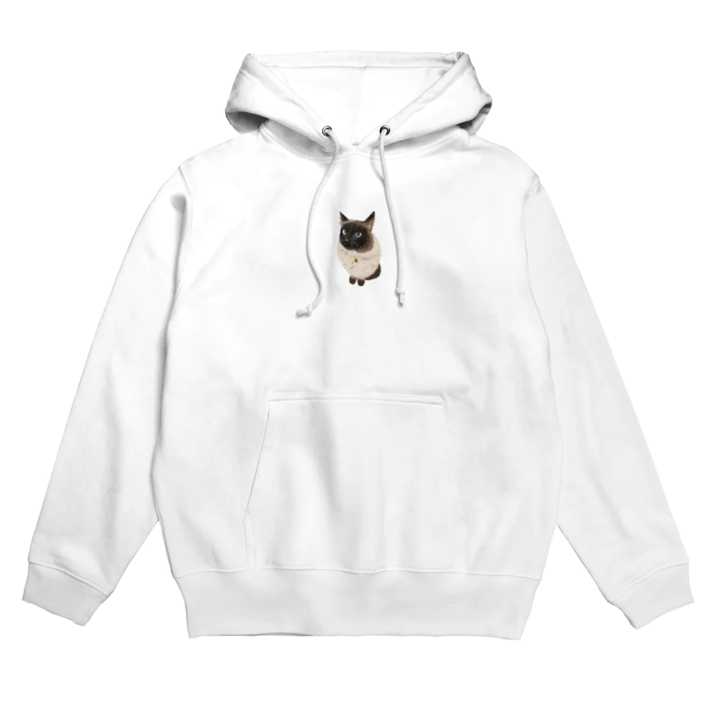 すぱいらる部屋のミッキー画伯 Hoodie