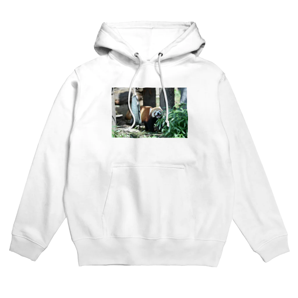 atsuのレッサーパンダ Hoodie