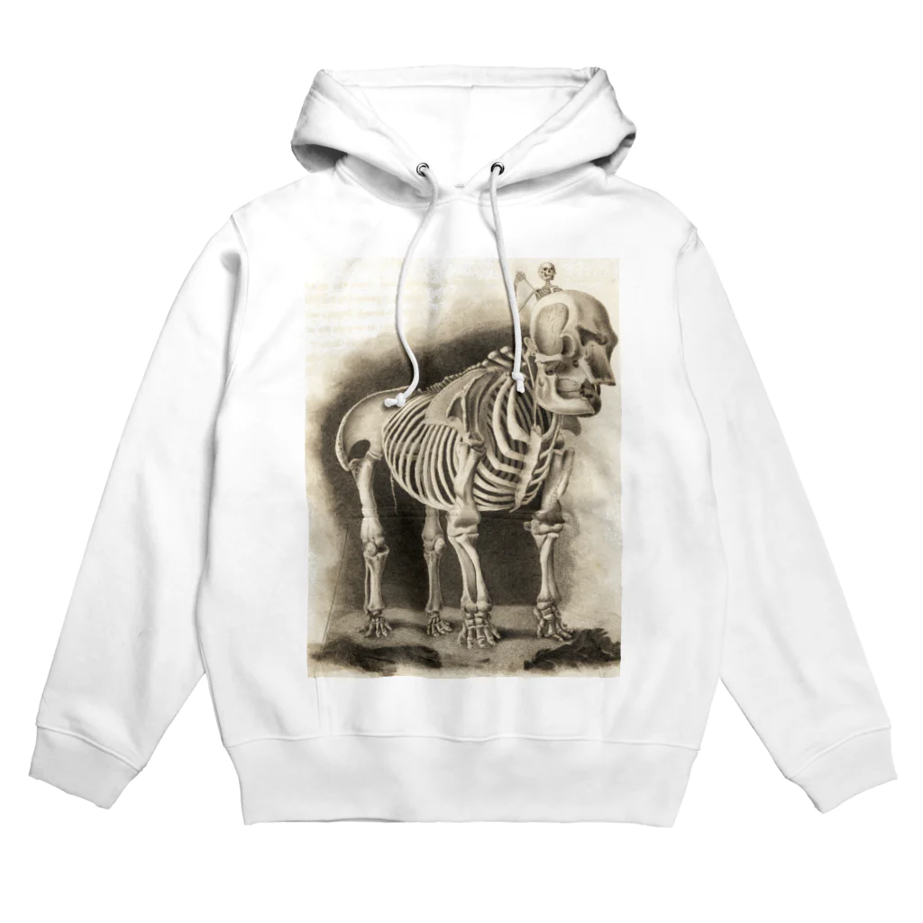 J. Jeffery Print Galleryの銅版画による人体骸骨 Hoodie