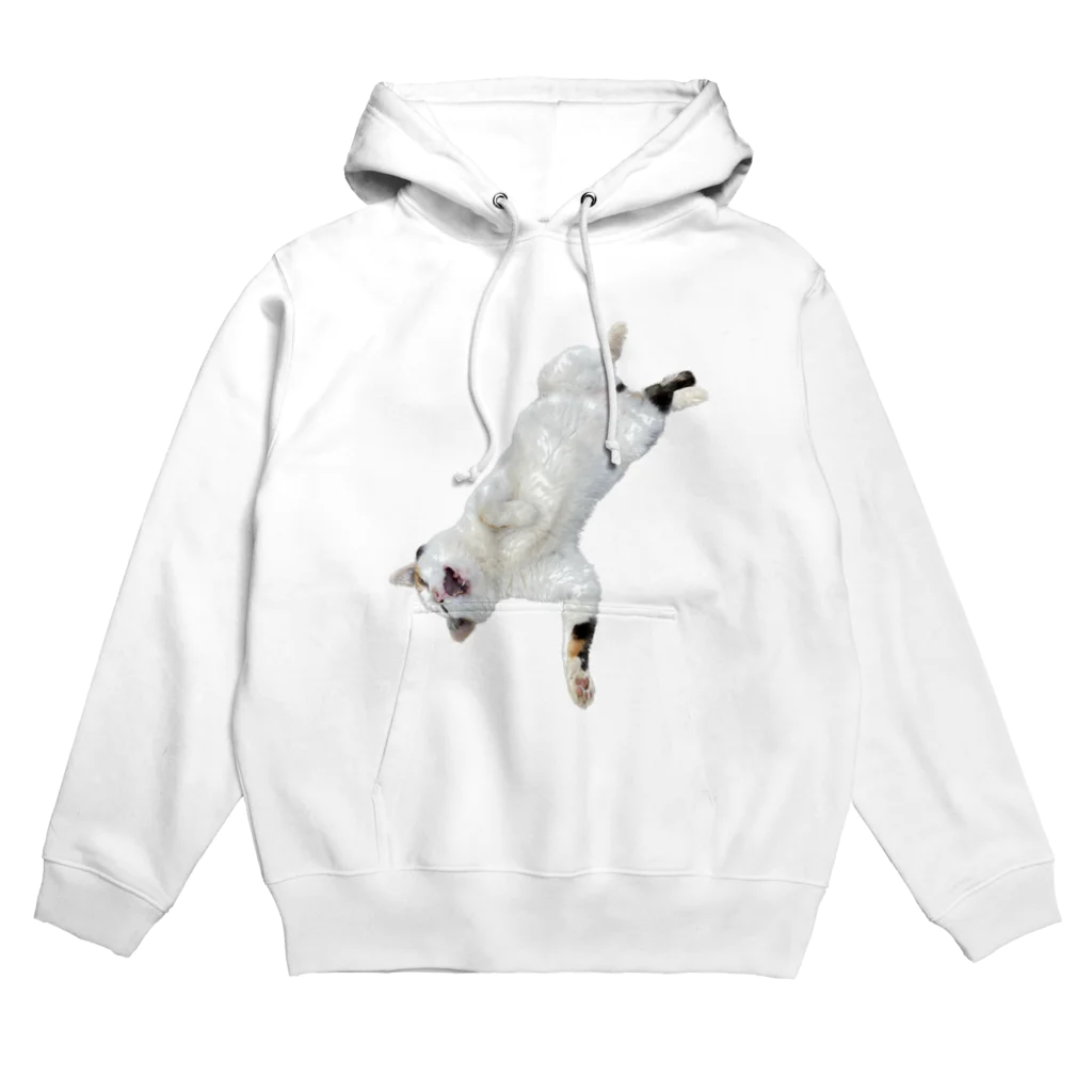 米農家の絵描きのにゃんた Hoodie