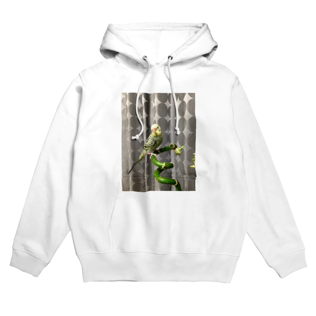 hatchbitのピコちゃん（性別不明期） Hoodie