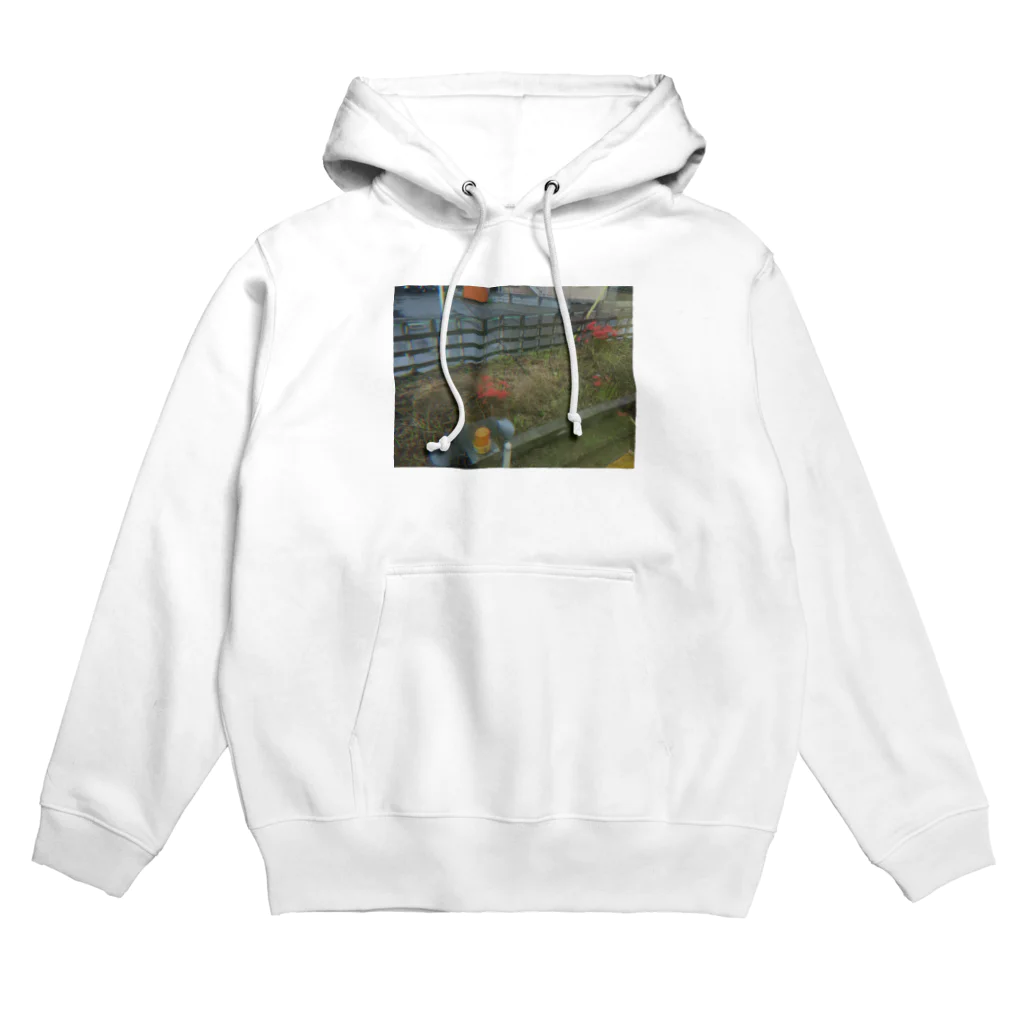 ぴょんりえのまいにちの線路脇のアカ Hoodie