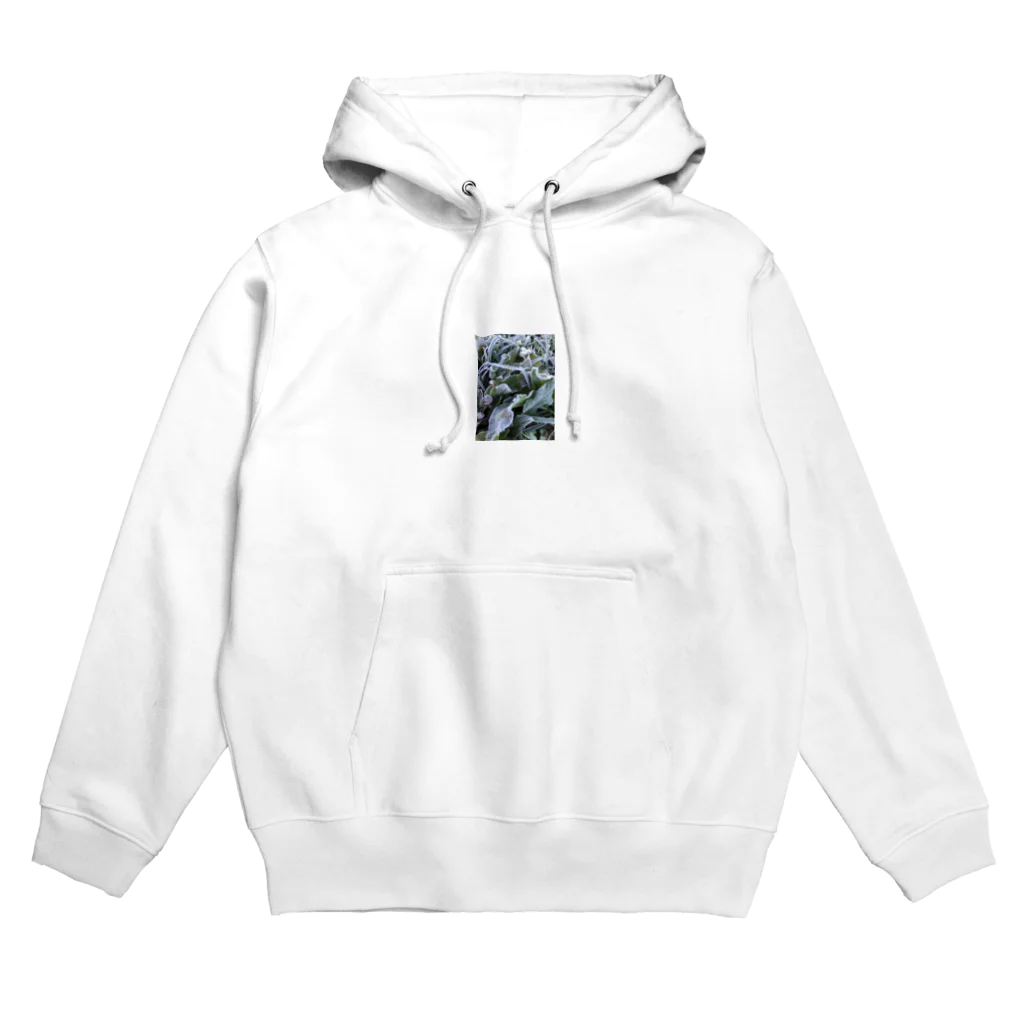 米農家の絵描きのもさもさ霜さん Hoodie