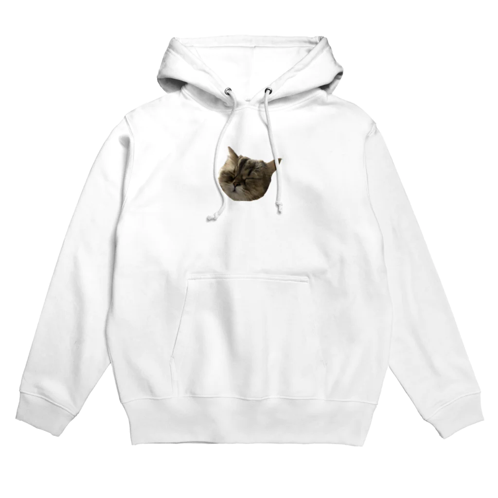 onarisanちのにゃんこたちのつんこのむーーーん Hoodie