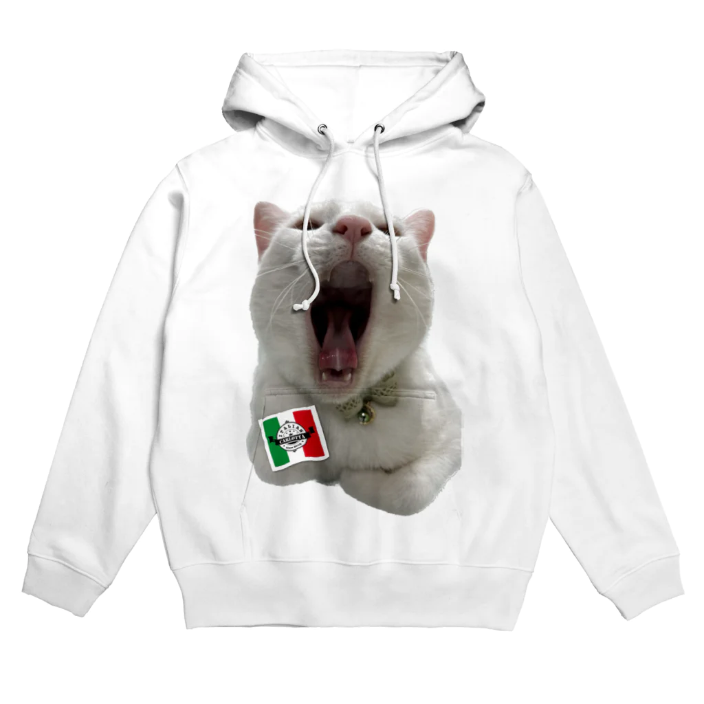 花鶴亀商店のカルロッタ🇮🇹亀② Hoodie