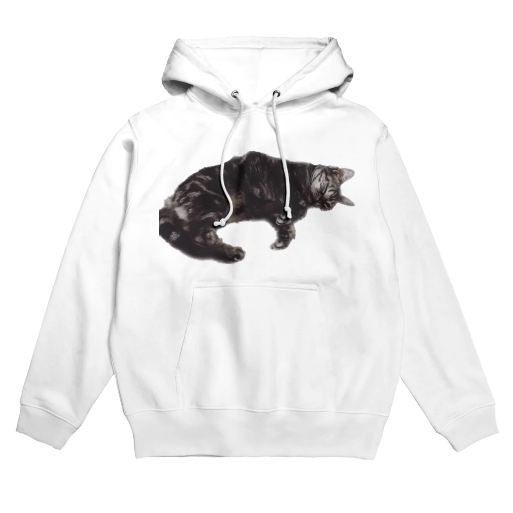 アメショーのひめちゃんのアメショーのひめちゃん④ Hoodie