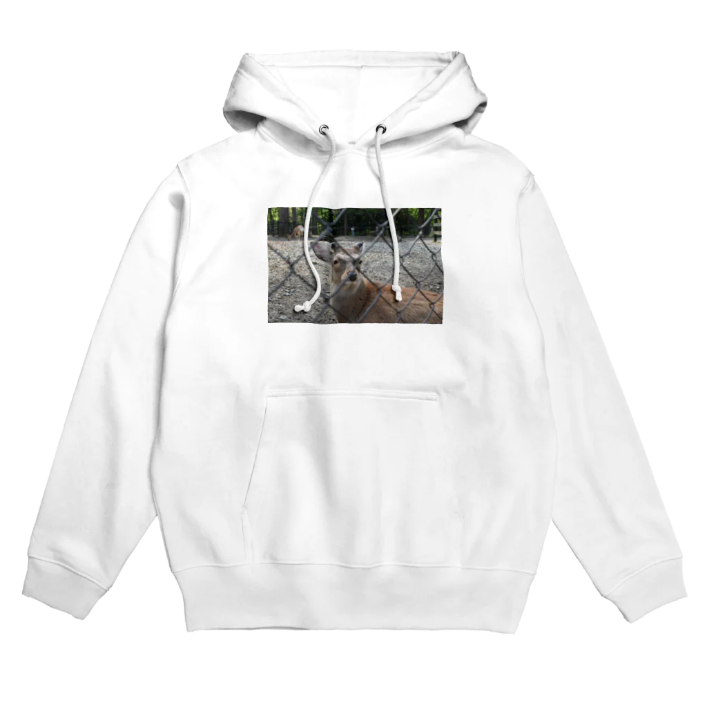 NABEのしか Hoodie