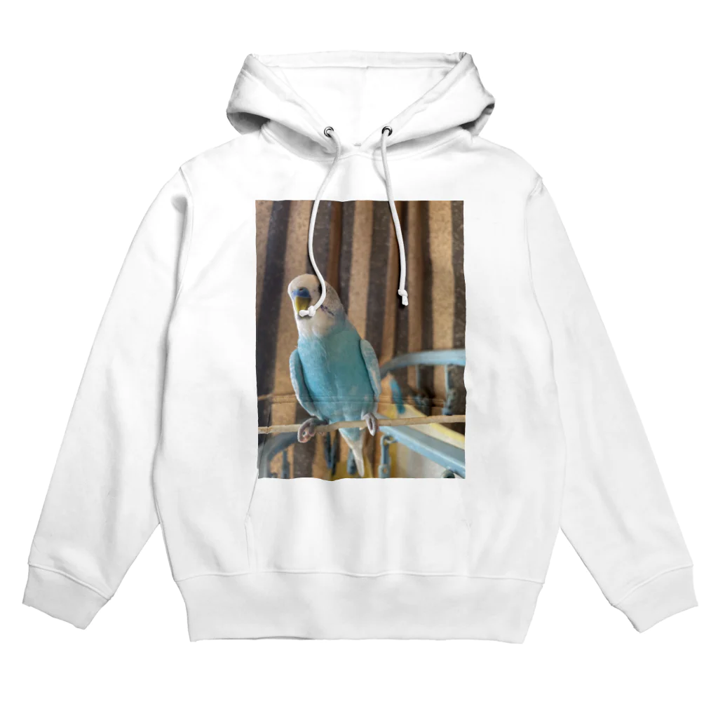 ソラショップのソラ君 Hoodie