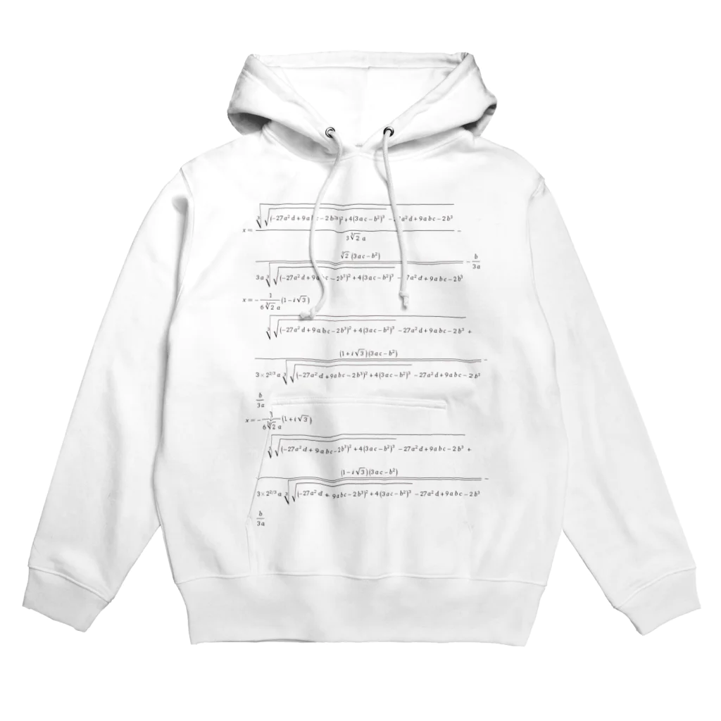 オールマイティーの三次方程式の解の公式 Hoodie