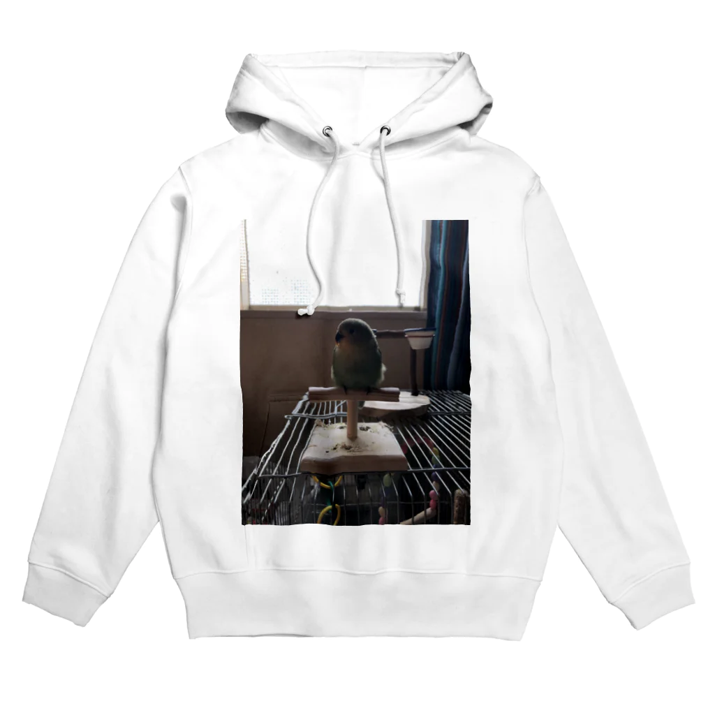 ソラショップのぼくしーちゃん Hoodie