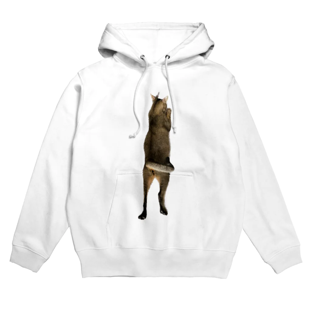 QDAのQAMALくん Hoodie