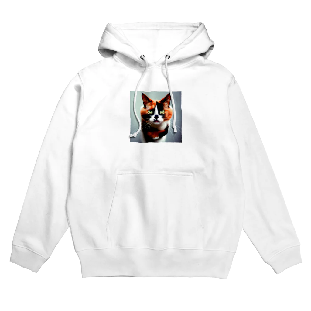 den_hartの我慢顔の三毛猫くん Hoodie